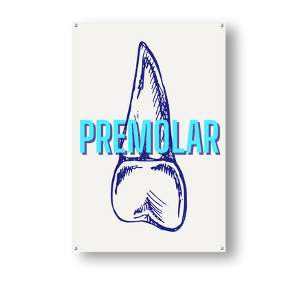 Fluorescent Premolar - Dr Picture