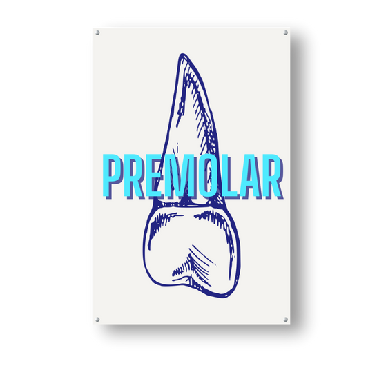 Fluorescent Premolar - Dr Picture