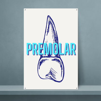 Fluorescent Premolar - Dr Picture